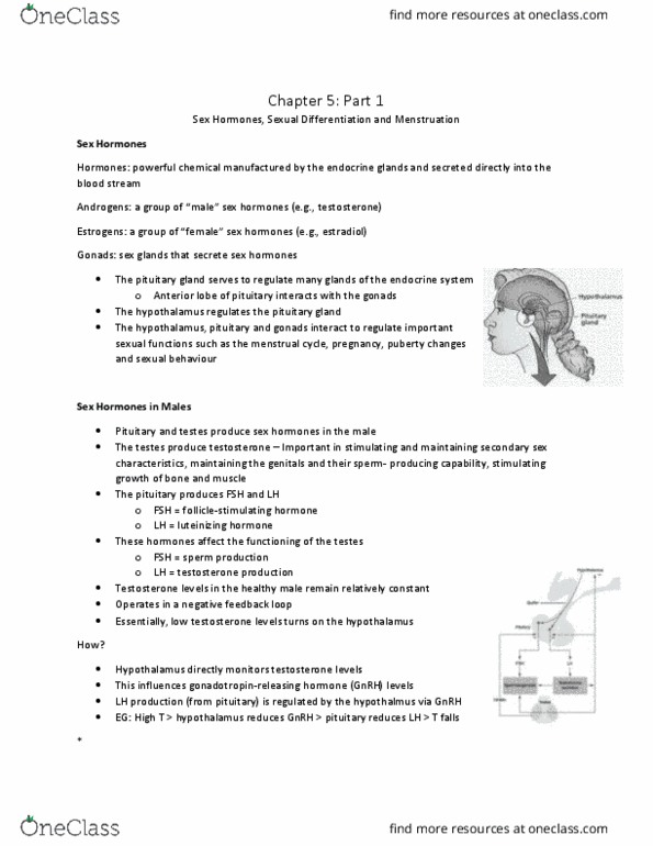 PSYC 3533 Lecture Notes - Lecture 9: Inguinal Hernia, Scrotum, Clitoris thumbnail