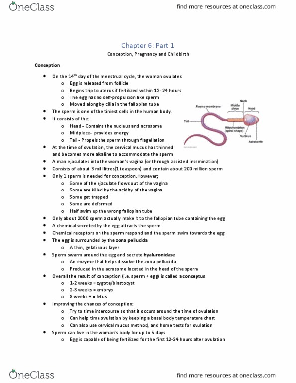 PSYC 3533 Lecture Notes - Lecture 11: Headache, Amniotic Fluid, Birth Weight thumbnail