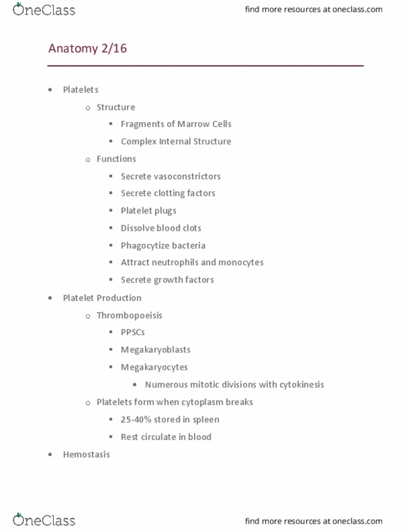 KINS 1224 Lecture Notes - Lecture 10: Arteriole, Sine Wave, Cardiac Output thumbnail