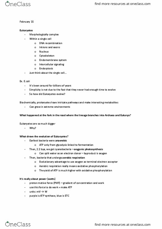 Biology 1002B Lecture Notes - Lecture 12: Congee, Aea, Professional Lighting And Sound Association thumbnail