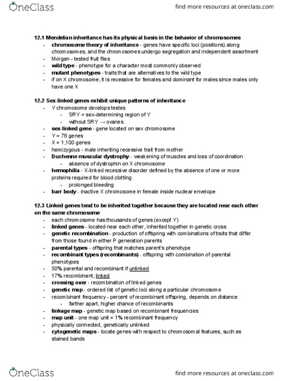 PLSC 363 Chapter Notes - Chapter 12: Zygosity, Y Chromosome, Gamete thumbnail