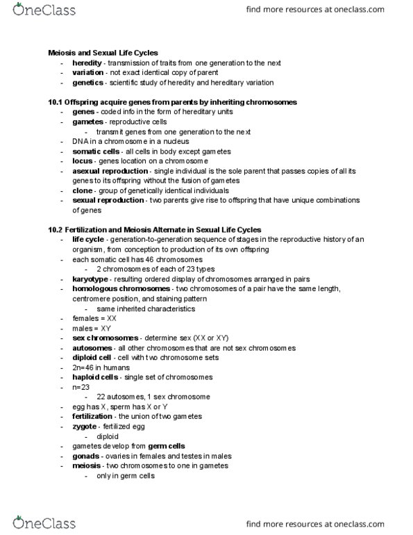 PLSC 363 Chapter Notes - Chapter 10: Prophase, Genetic Variation, Centromere thumbnail