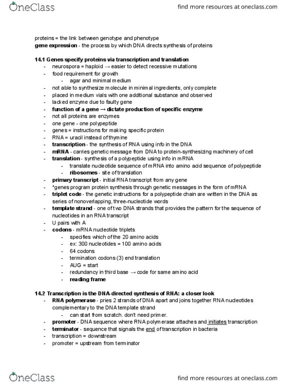PLSC 363 Chapter Notes - Chapter 14: Hydrolysis, Uracil, Cytosol thumbnail