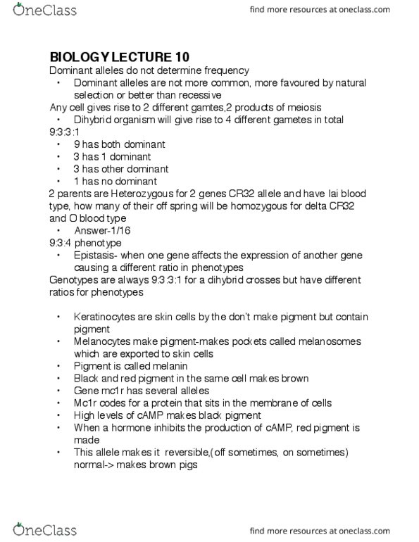 document preview image