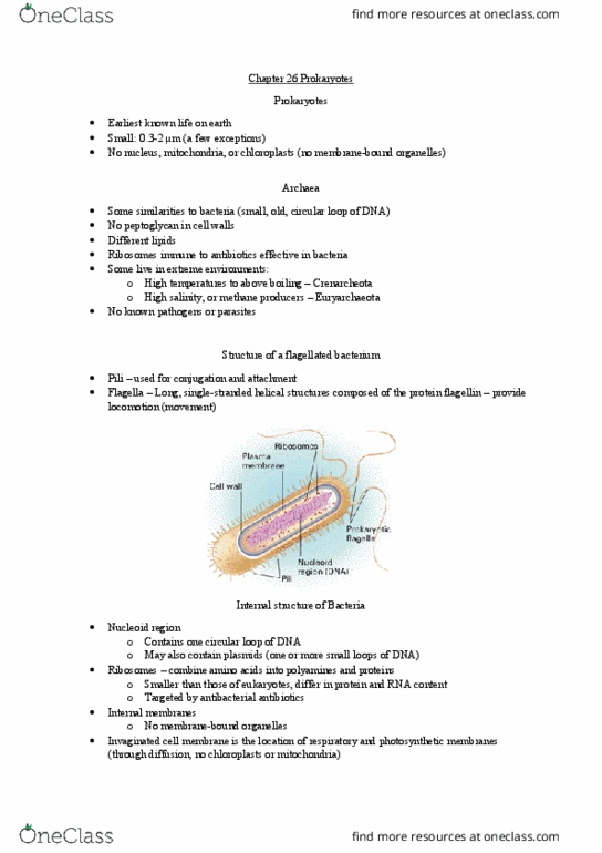 BIOL412 Chapter Notes - Chapter 26: Bacterial Conjugation, Horizontal Gene Transfer, Hfr Cell thumbnail