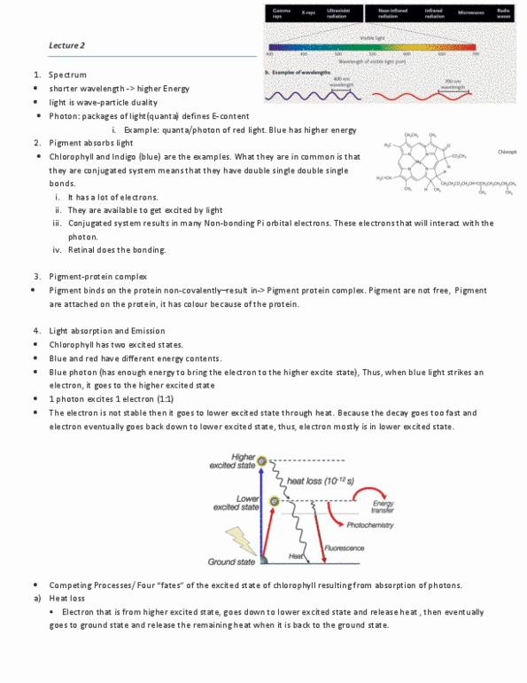 Biology 1002B Lecture Notes - Lecture 2: Phosphodiester Bond, Transducin, Electromagnetic Spectrum thumbnail