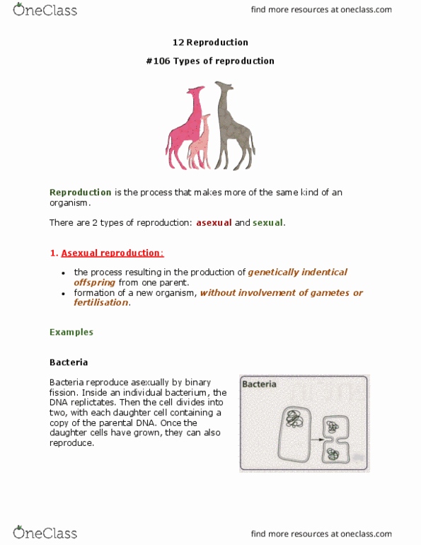 BIO394 Chapter Notes - Chapter 4: Pollen Tube, Endometrium, Corpus Luteum thumbnail