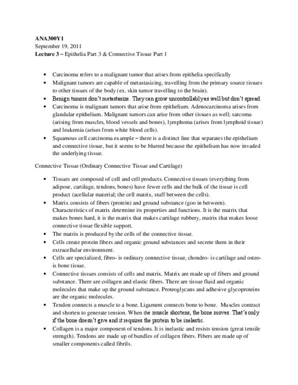 ANA300Y1 Lecture Notes - Lecture 3: Capillary, Fibrillin, German Type Vii Submarine thumbnail