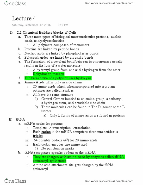 BIOL-UA 21 Lecture Notes - Lecture 4: Inosine, Wobble Base Pair, Transfer Rna thumbnail