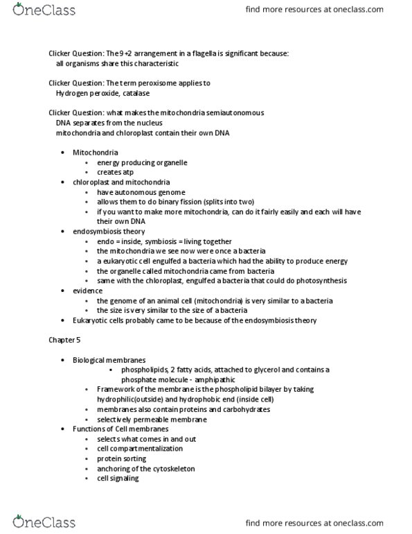 BIO-1801 Lecture Notes - Lecture 11: Lipid Bilayer, Flippase, Glycolipid thumbnail