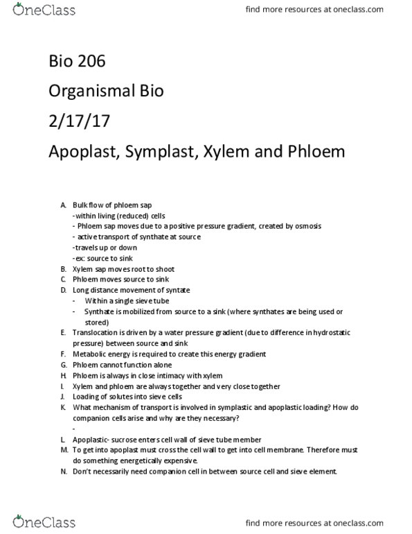 BIOL 206 Lecture Notes - Lecture 20: Apoplast, Symplast, Phloem thumbnail