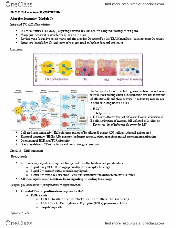 MIMM 214 Lecture Notes - Lecture 17: Endothelium, Regulatory T Cell, Signal 1 thumbnail