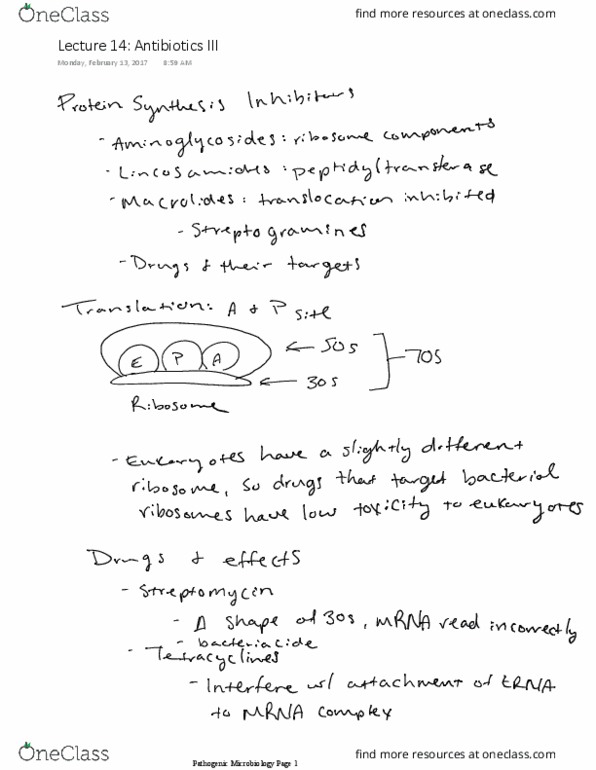 VBMS 441 Lecture Notes - Lecture 14: Antibiotics thumbnail