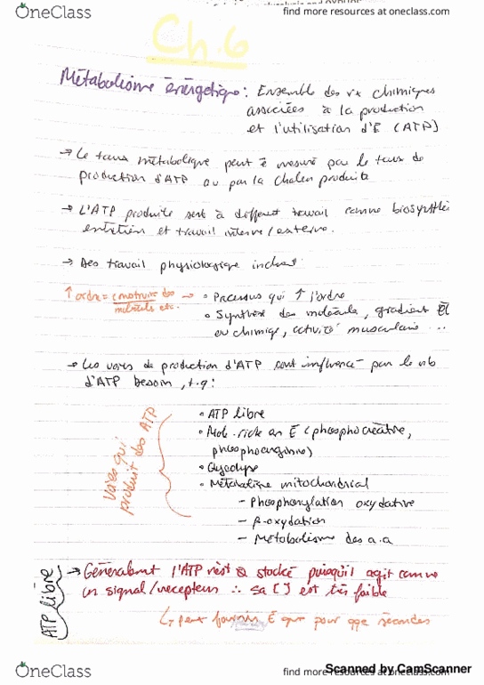 BIO 3703 Lecture 7: Métabolisme 1 (jusqu'à diapo 20) thumbnail