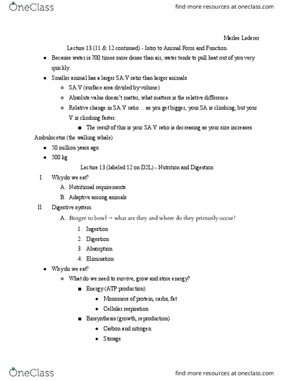 EBIO 1220 Lecture Notes - Lecture 13: Ambulocetus, Herbivore, Cellular Respiration thumbnail