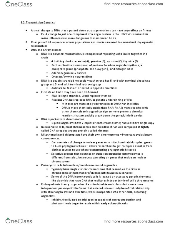 EE BIOL 185 Chapter Notes - Chapter 6.2: Influenza A Virus Subtype H5N1, Thymine, Nitrogenous Base thumbnail