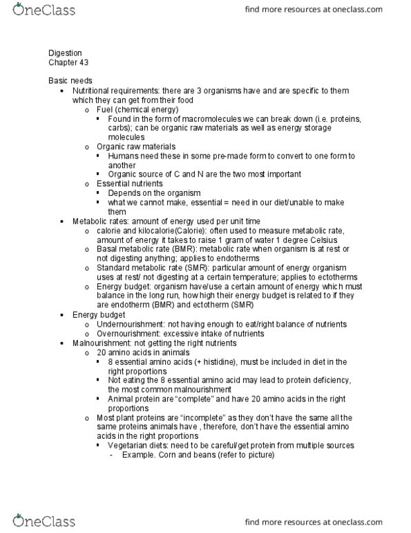 BIOL 125 Lecture Notes - Lecture 10: Essential Amino Acid, Basal Metabolic Rate, Ectotherm thumbnail