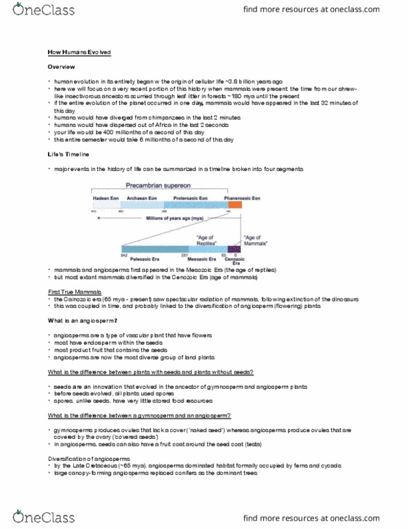 BIOLOGY 1M03 Lecture Notes - Lecture 15: Cenozoic, Mesozoic, Flowering Plant thumbnail