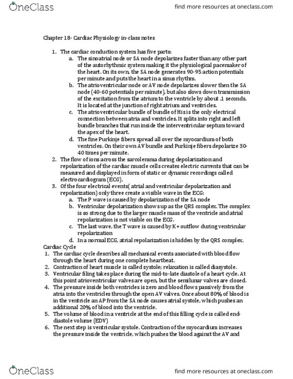 BSC 1086C Lecture Notes - Lecture 2: Atrioventricular Node, Heart Valve, Pulmonary Valve thumbnail