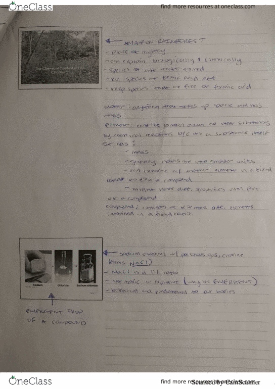 BIO 100 Lecture 4: The Chemical Context of Life (Chapter 2) thumbnail