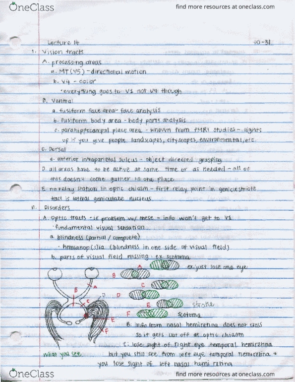 01:830:310 Lecture 14: Neuropsychology thumbnail