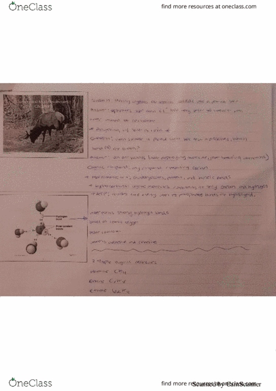 BIO 100 Lecture 5: Carbon and Macromolecules Part 1 (Chapter 3) thumbnail