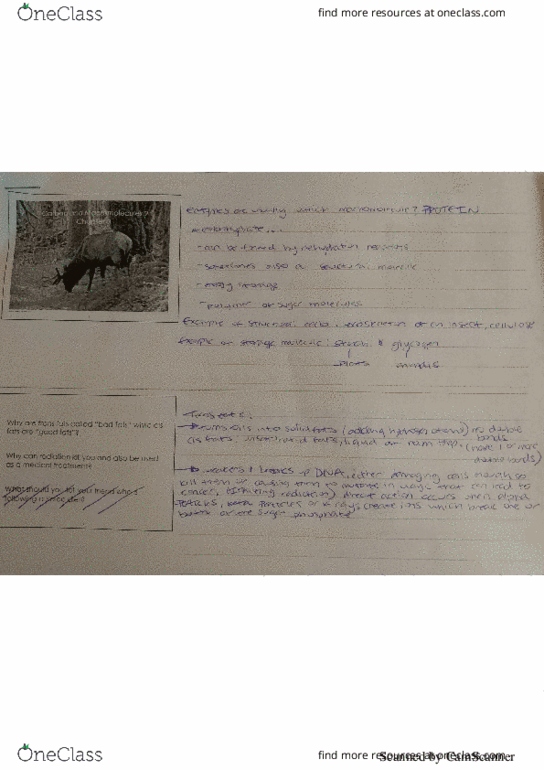 BIO 100 Lecture 6: Carbon and Macromolecules Part 2 (Chapter 3) thumbnail