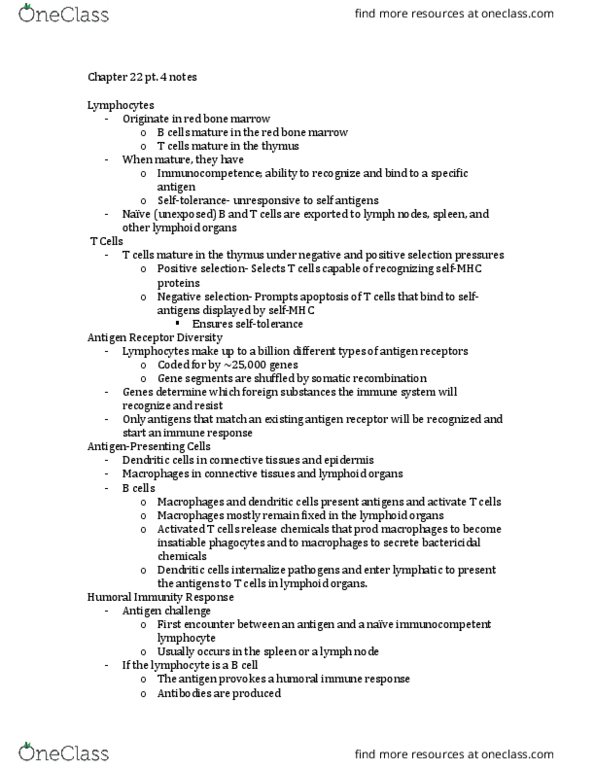 BSC 1086C Lecture Notes - Lecture 6: Bone Marrow, Lymph Node, Immunity (Medical) thumbnail