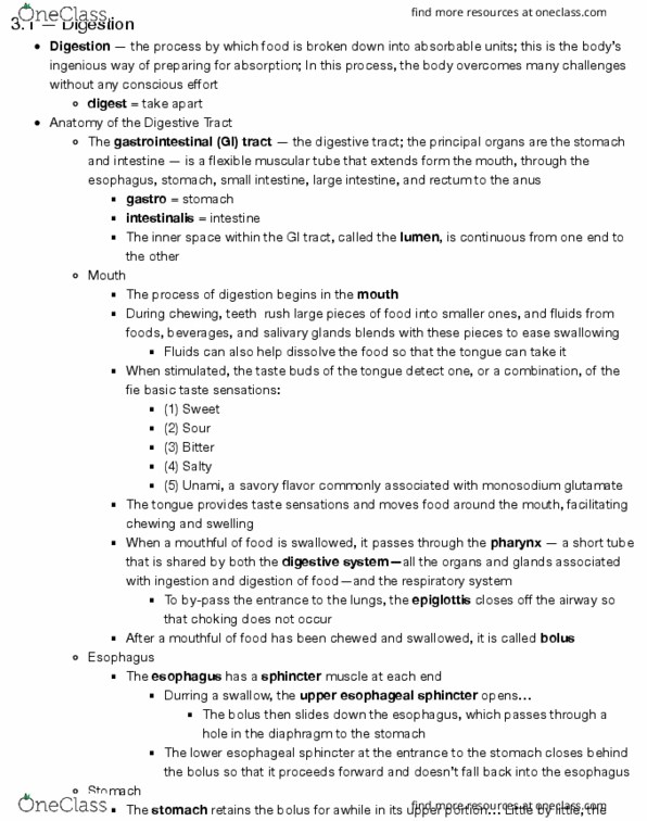 HUN-1201 Chapter Notes - Chapter 3: Esophagus, Pylorus, Pancreatic Juice thumbnail