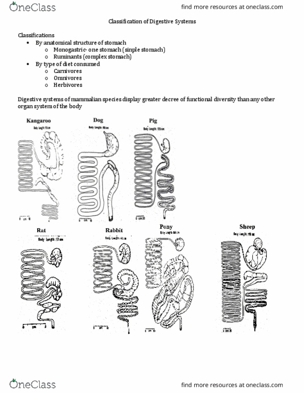 document preview image