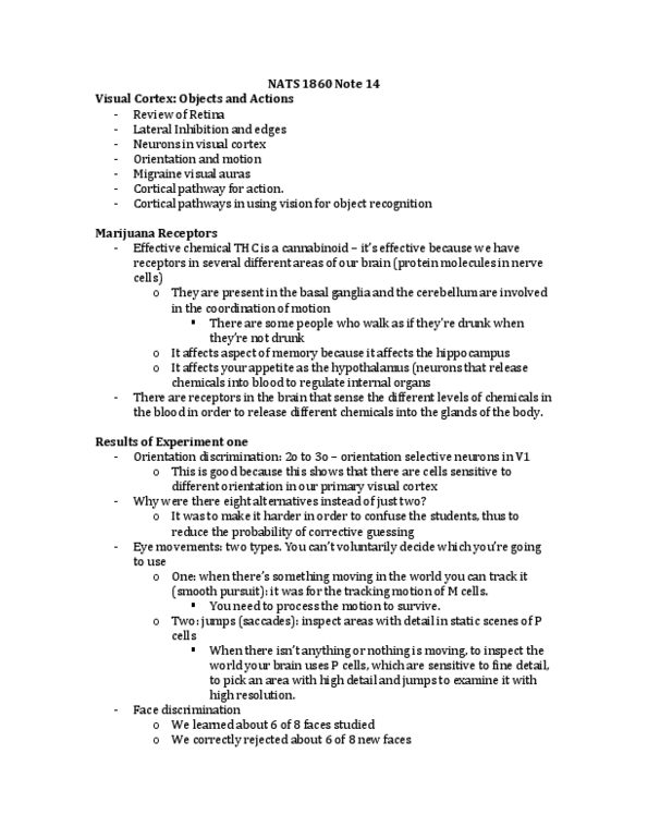 NATS 1860 Lecture Notes - Two-Streams Hypothesis, Inferior Temporal Gyrus, Brodmann Area 20 thumbnail