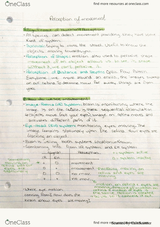 PSYC 3690 Lecture 6: Perception of Movement thumbnail