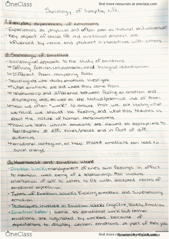 SOCI 3325 Lecture 5: Themes and Concepts in the study of Emotions thumbnail