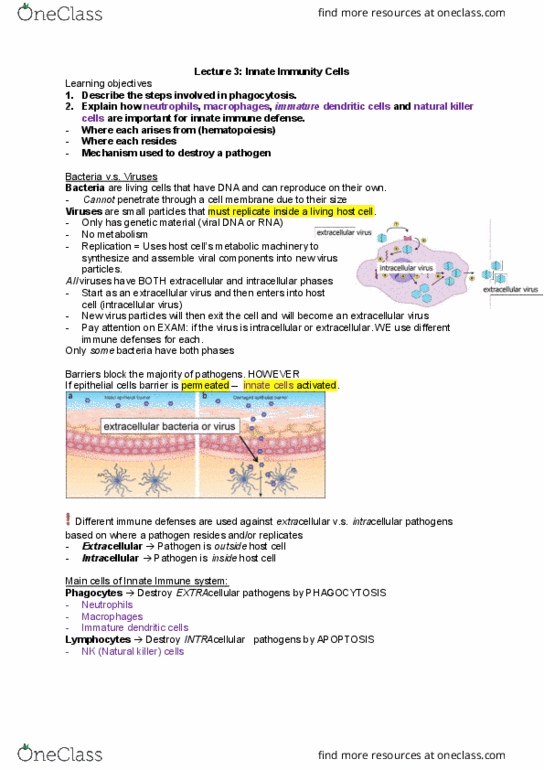 Microbiology and Immunology 2500A/B Lecture Notes - Lecture 8: Sepsis, Pathogenic Bacteria, Pathogen-Associated Molecular Pattern thumbnail