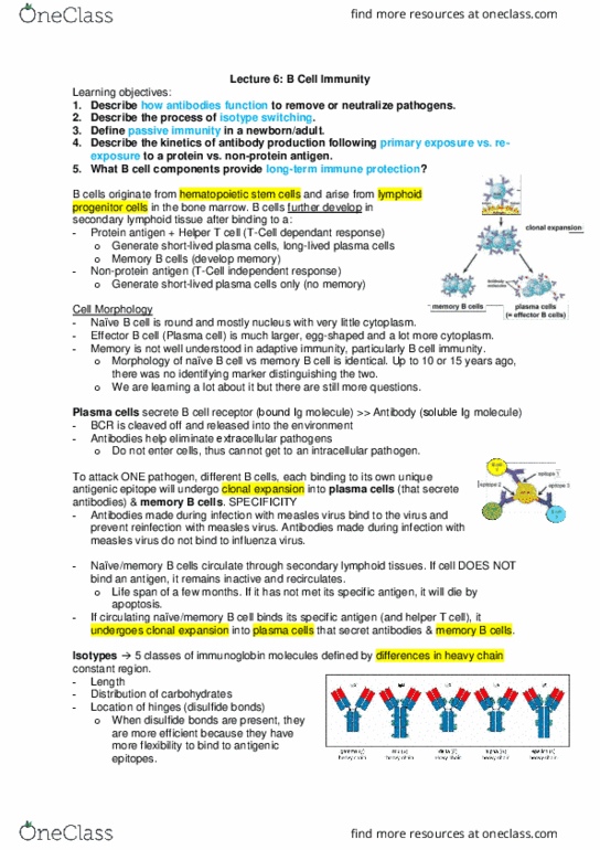 Microbiology and Immunology 2500A/B Lecture Notes - Lecture 3: Bacterial Capsule, Immunoglobulin Class Switching, Immunology thumbnail