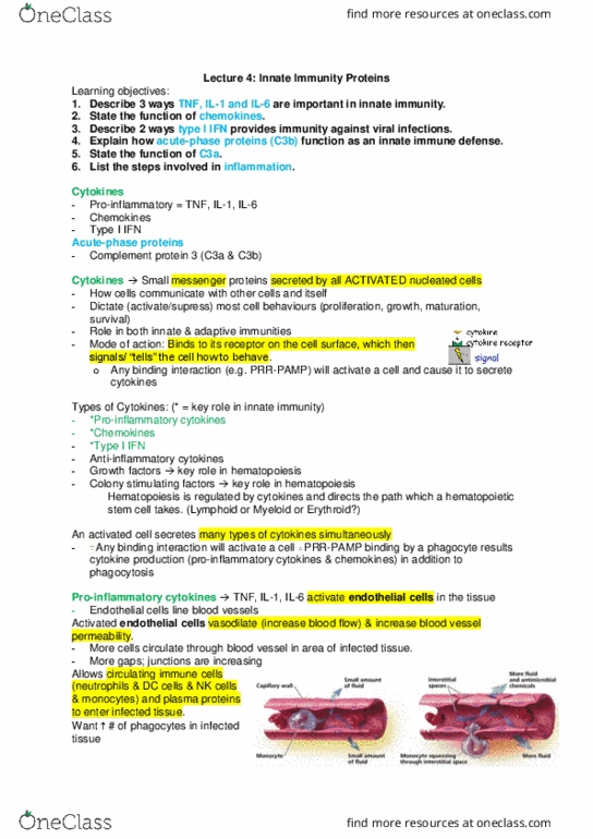 Microbiology and Immunology 2500A/B Lecture Notes - Lecture 6: Acute-Phase Protein, Colony-Stimulating Factor, Hematopoietic Stem Cell thumbnail