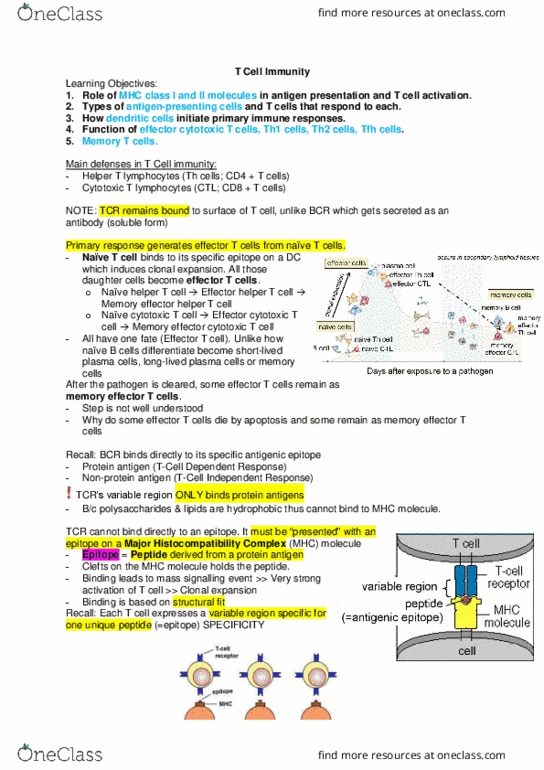 Microbiology and Immunology 2500A/B Lecture Notes - Lecture 1: Mhc Class Ii, Major Histocompatibility Complex, Cytotoxic T Cell thumbnail