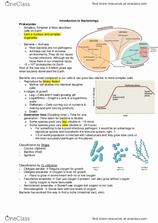 Microbiology and Immunology 2500A/B Lecture Notes - Lecture 16: Gram Staining, Innate Immune System, Crystal Violet thumbnail