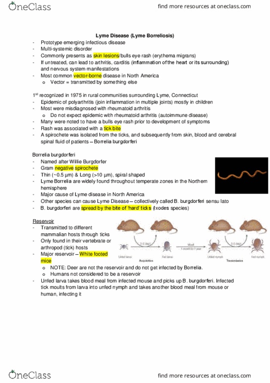 Microbiology and Immunology 2500A/B Lecture Notes - Lecture 10: Ixodes Scapularis, Tick-Borne Disease, Lyme, Connecticut thumbnail