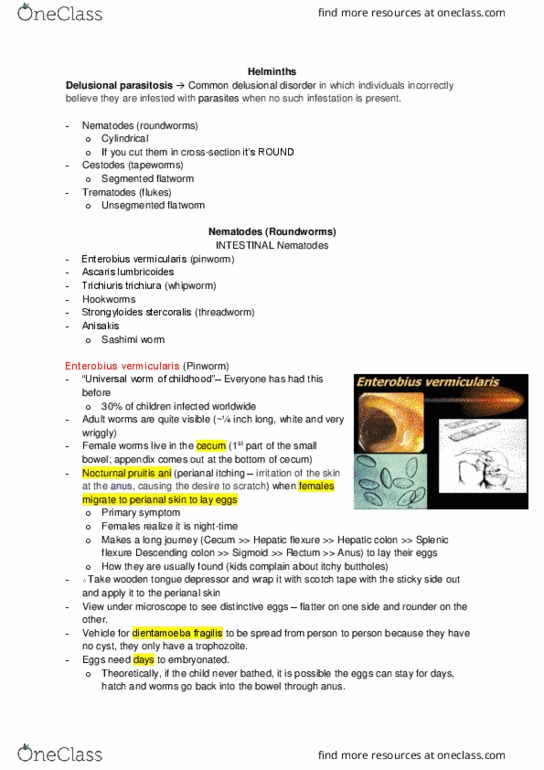 Microbiology and Immunology 2500A/B Lecture Notes - Lecture 32: Strongyloides Stercoralis, Ascaris Lumbricoides, Common Bile Duct thumbnail