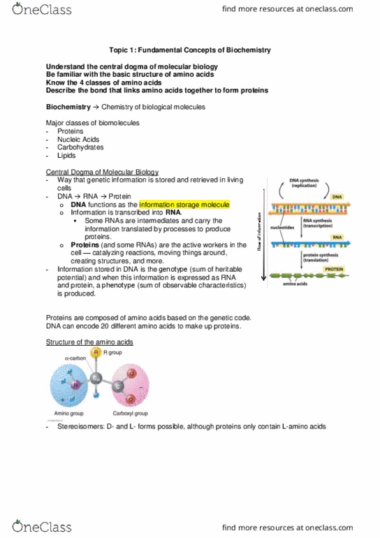 Biochemistry 2280A Lecture Notes - Lecture 1: Central Dogma Of Molecular Biology, Cell Nucleus, Hydrophile thumbnail