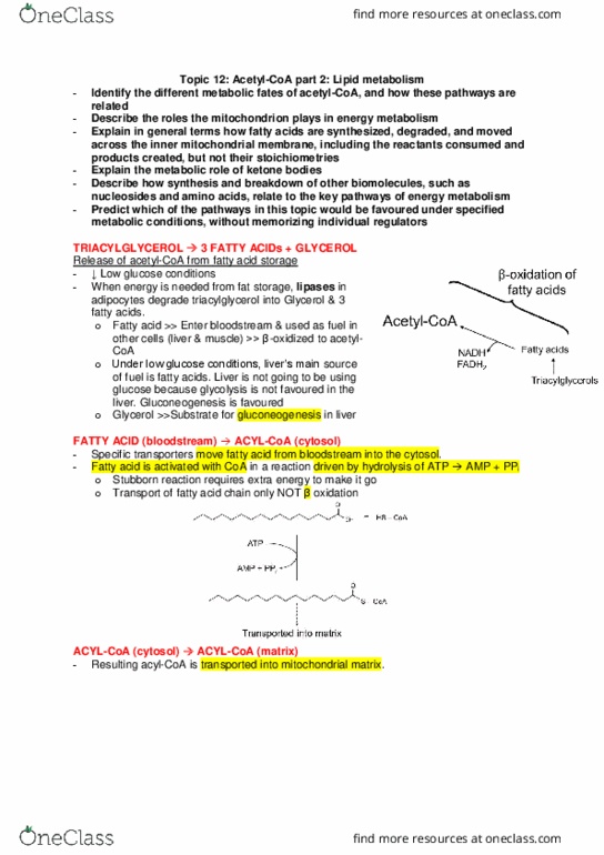 Biochemistry 2280A Lecture Notes - Lecture 12: Coenzyme Q10, Ketone, Glycogen thumbnail