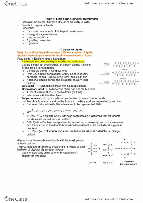 Biochemistry 2280A Lecture Notes - Lecture 6: Lipid Bilayer, Sphingosine, Glycerophospholipid thumbnail