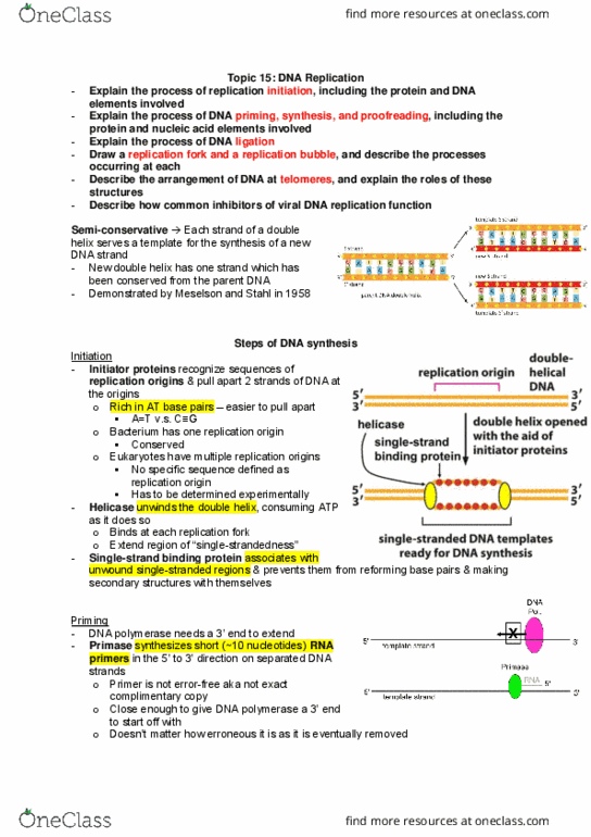 Biochemistry 2280A Lecture Notes - Lecture 15: Okazaki Fragments, Helicase, Pyrophosphate thumbnail