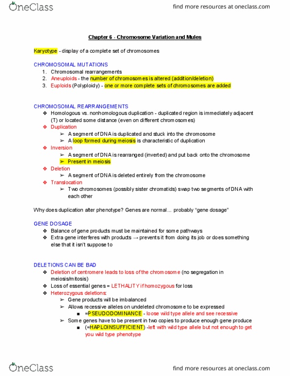 GEN-3000 Lecture Notes - Lecture 6: Robertsonian Translocation, Chromosomal Translocation, Sister Chromatids thumbnail