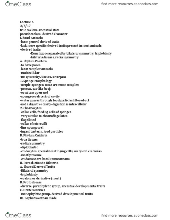 01:119:116 Lecture Notes - Lecture 6: Gastrovascular Cavity, Filter Feeder, Radula thumbnail