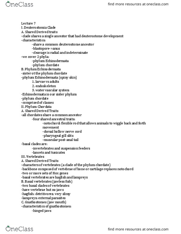 01:119:116 Lecture Notes - Lecture 7: Water Vascular System, Agnatha, Acanthopterygii thumbnail