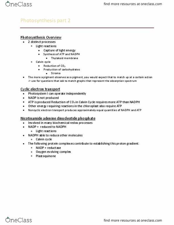 Biology 1202B Lecture Notes - Lecture 6: Nicotinamide Adenine Dinucleotide Phosphate, Oxygen-Evolving Complex, Light-Independent Reactions thumbnail