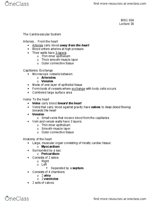 BI SC 004 Lecture Notes - Lecture 30: Epithelium, Venule, Smooth Muscle Tissue thumbnail