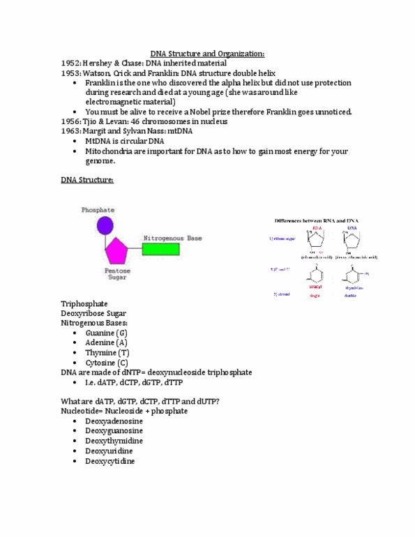 Biology 1202B Lecture Notes - Euchromatin, Interphase, Histone H2B thumbnail